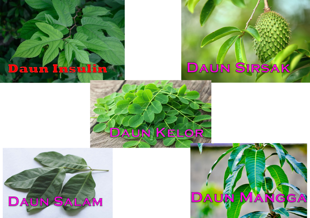 Daftar 5 Daun