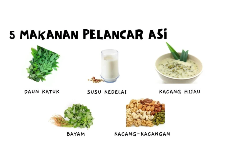 Produksi ASI bagi Ibu Menyusui