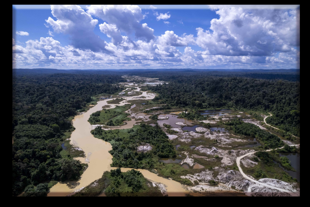 Amazon Rainforest