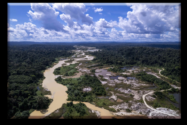 Amazon Rainforest