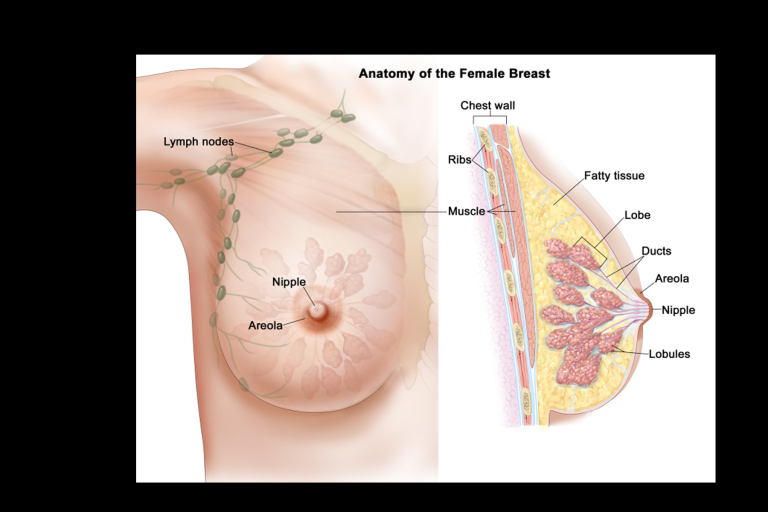 Racun Kalajengking