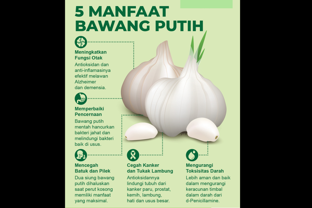 Bawang Putih