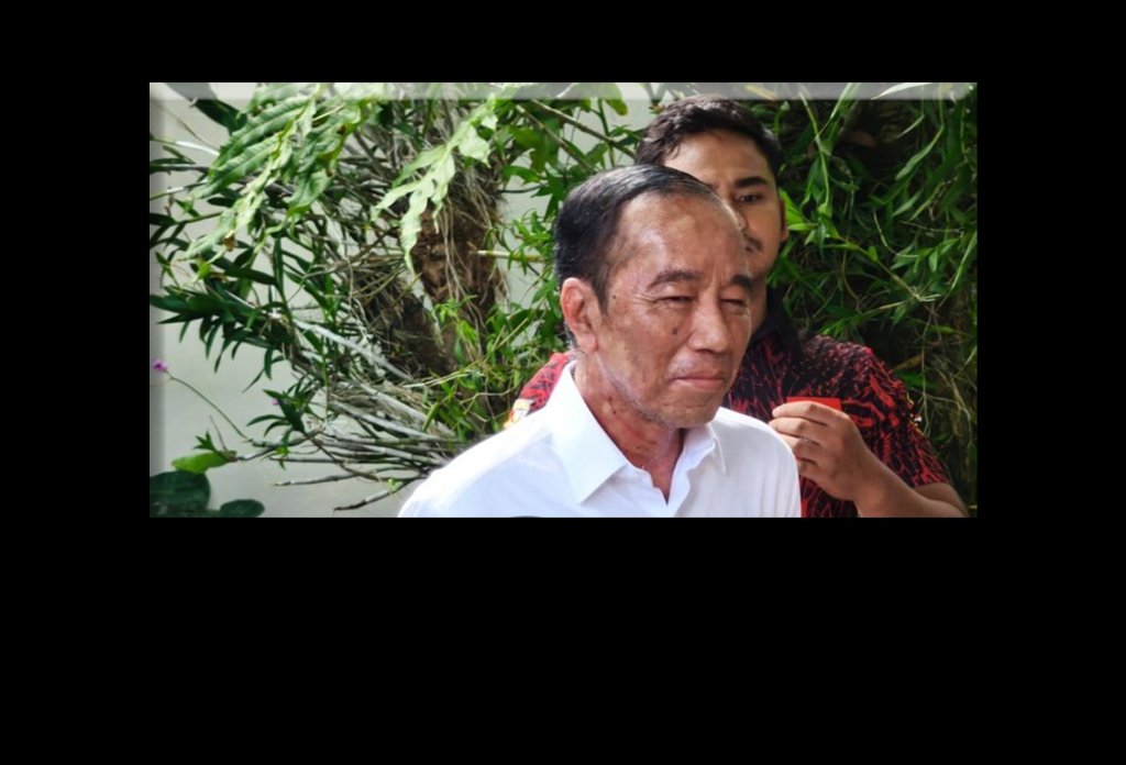 Pak Presiden Joko Widodo