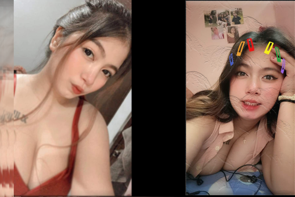 Viera Pemersatu Bangsa
