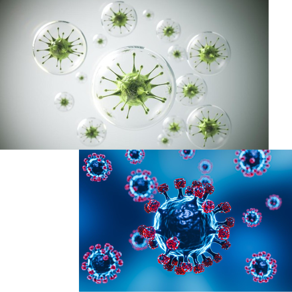 Virus HKU5