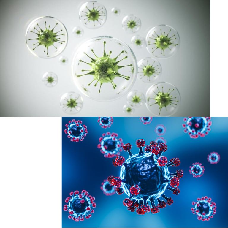 Virus HKU5