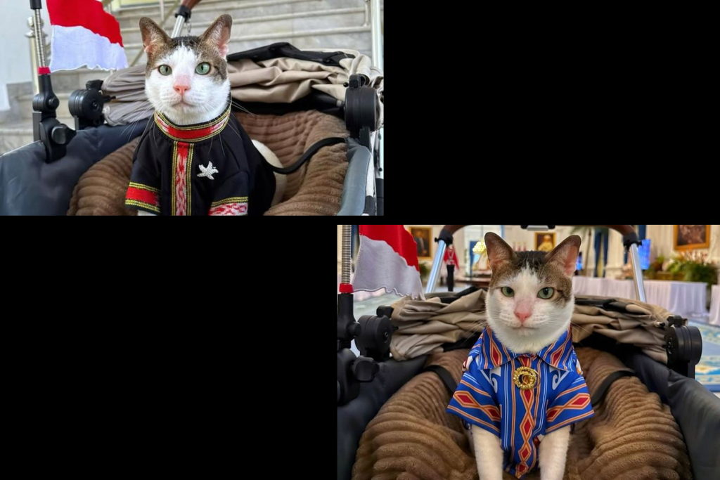 Bobby Kucing Prabowo