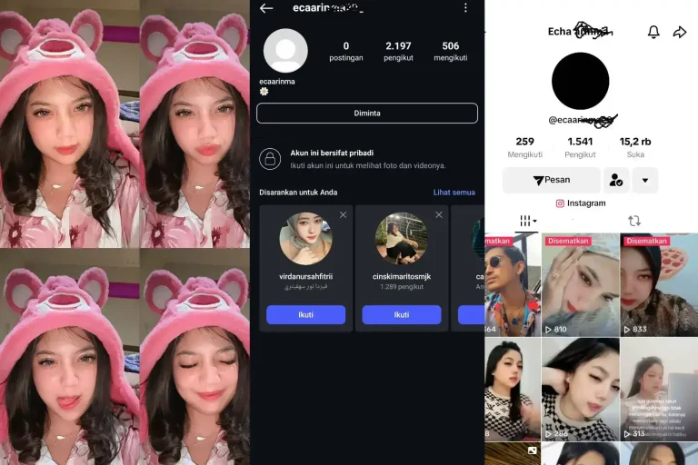Eca Arin Seleb TikTok