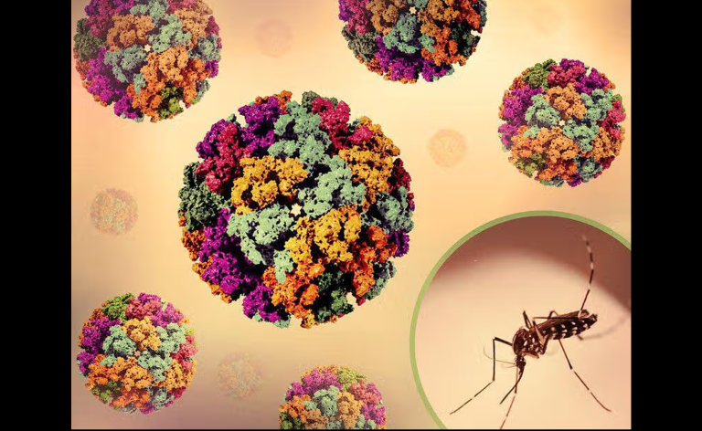 Virus Hepatitis D