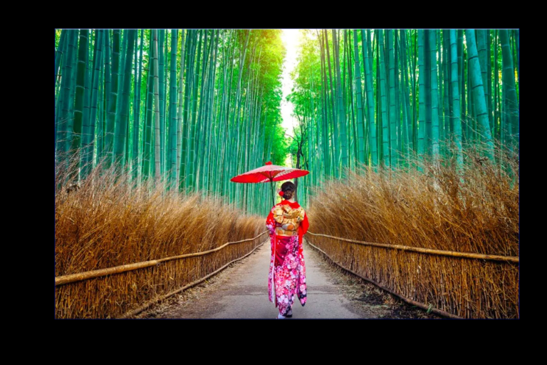 Wisata Travel Kyoto Jepang kota