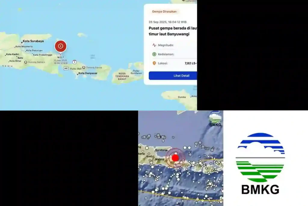 Bmkg Gempa Banyuwangi